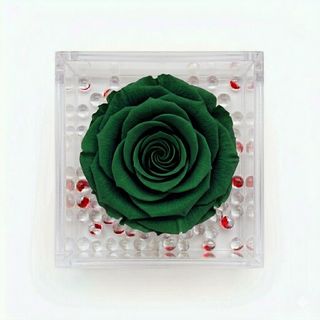 Rosa stabilizzata verde