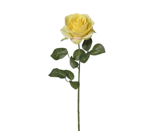 Rose gialla singola