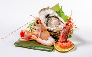 S4. Sashimi special