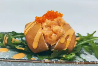 Se18.Salmon evolution
