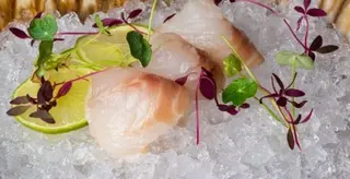 Sashimi spigola