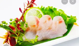 S3.Sashimi suzuki