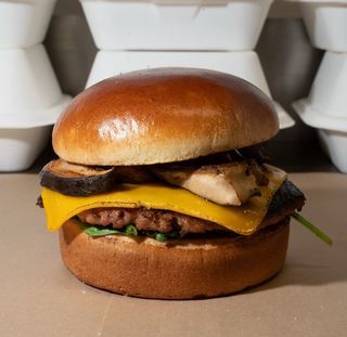 il Vegano