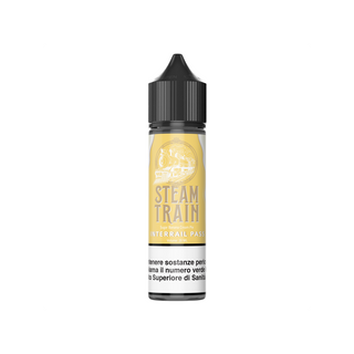 Steam train InterRail pass 20  ml