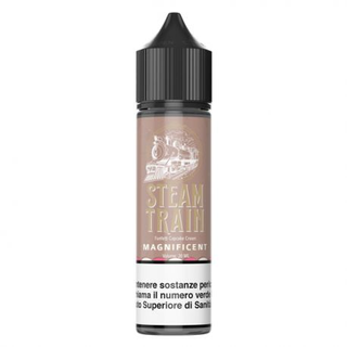 Steam train magnificent 20 ml
