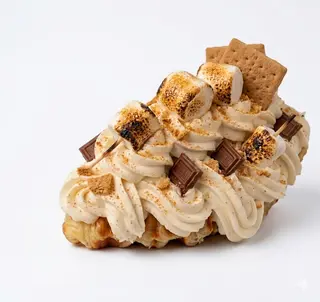 S’mores campfire