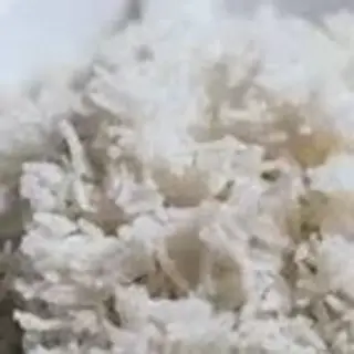 Sada basmati 
