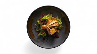  Salata sa grilovanim miročkim sirom