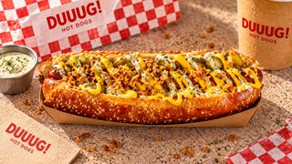 Sauerkraut Dog