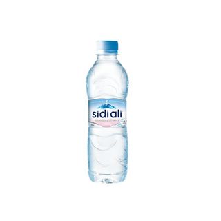 Sidi Ali