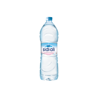 Sidi Ali