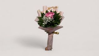 Signature Pink Rose