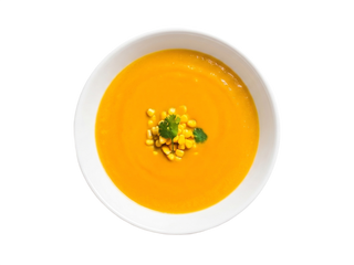 Sopa do Dia