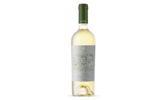 Spelonga ninu falanghina I. G. P. Puglia