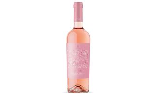 Spelonga ninu rosato nero di troia I. G. P. Puglia 75 cl