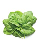 Spinach