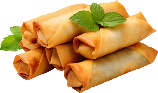 Spring Roll