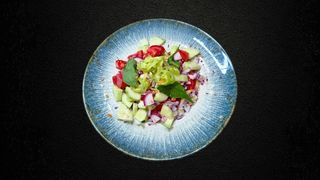 Srpska salata