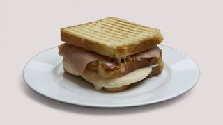 Studentski tost x 2
