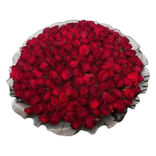 The 200 Red Roses Signature
