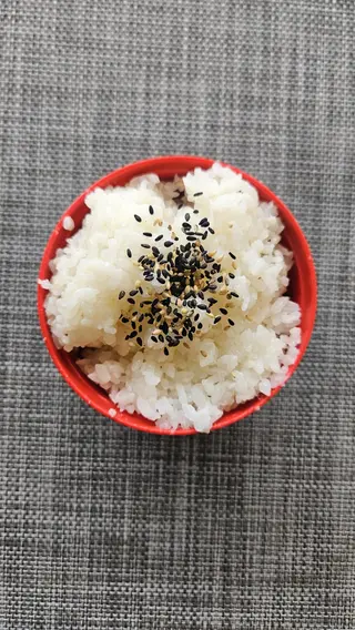 T537 - Arroz Branco