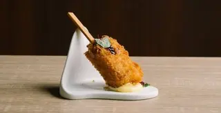 Tako magnum