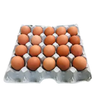 Tasty Yellow Yolk Eggs 20 Units Pack