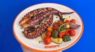 Tentacolo di polpo grigliato