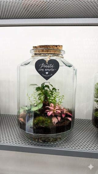 Terrarium grande