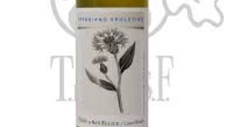 Terre San Felice Trebbiano Spoletino