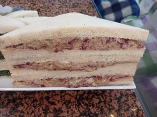 Tonno, radicchio, crema aceto balsamico e maionese