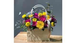 Kontrast boja torbica