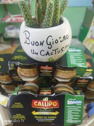 Tranci di tonno in olio d'oliva  extravergine biologico