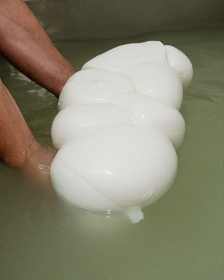 Treccia di bufala