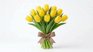 Tulipani gialli 10 pezzi