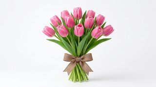 Tulipani rosa 10 pezzi