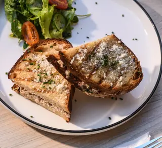 Tuna grilled cheese