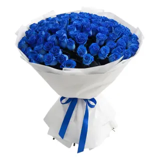 The Blue Breeze