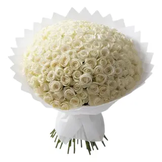 Mega Snow White Roses