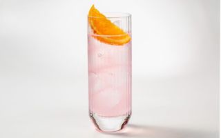 V76. Paloma