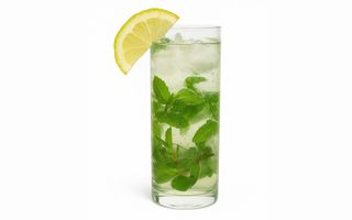 V84. Mojito