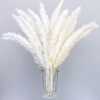 White pampas 1 pezzo