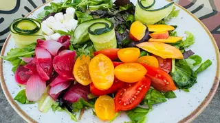 Winter salad