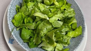 Zelena salata