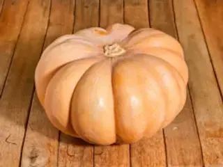 Zucche 1 kg
