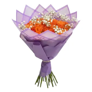 Orange Petals