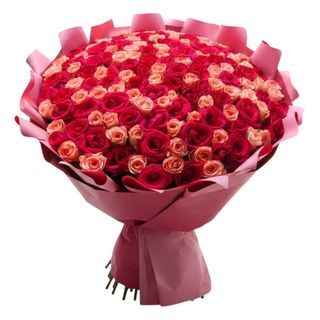 Red & Pink Elegance