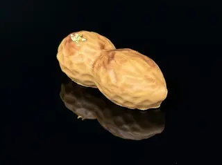 Arachide