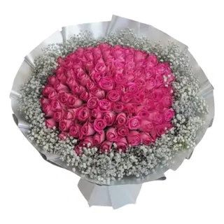 Pink Roses