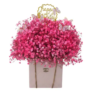 Pink baby breath